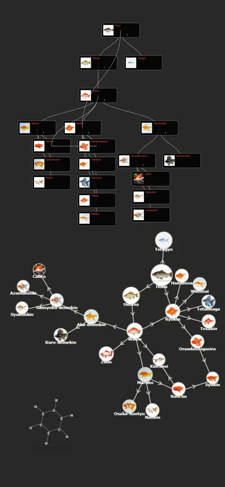 6 Groups screenshots 4