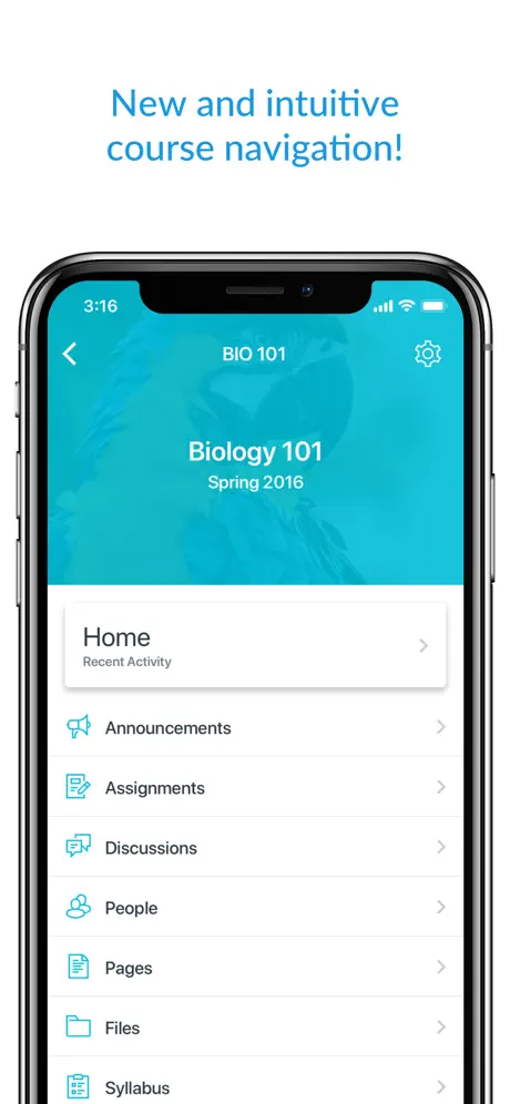 Canvas screenshots 2