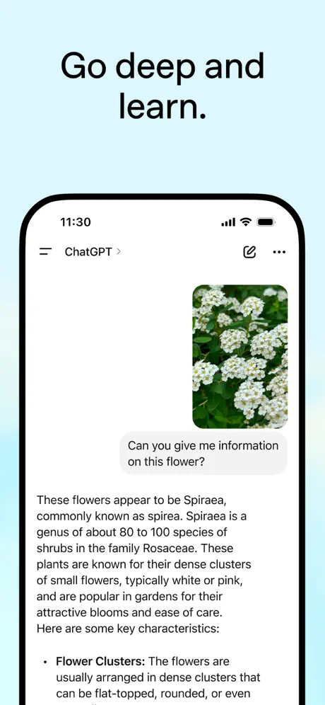 ChatGPT screenshots 4