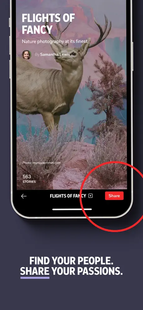 Flipboard screenshots 5