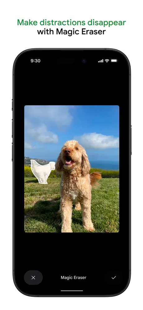 Google Photos screenshots 3