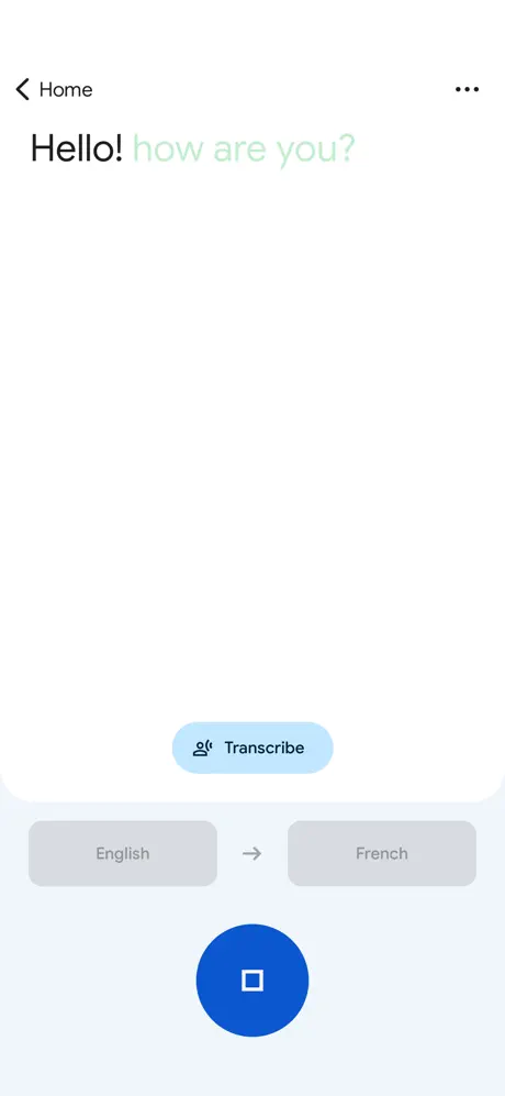 Google Translate screenshots 2