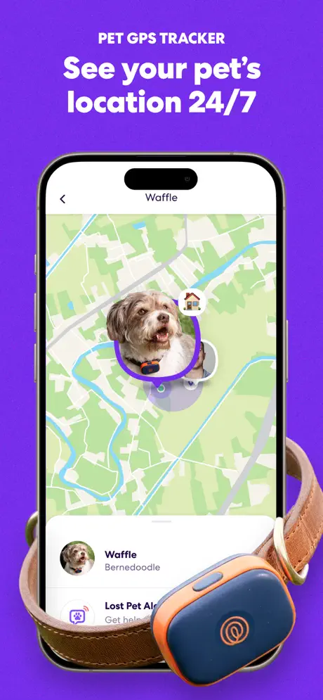 Life360 screenshots 4