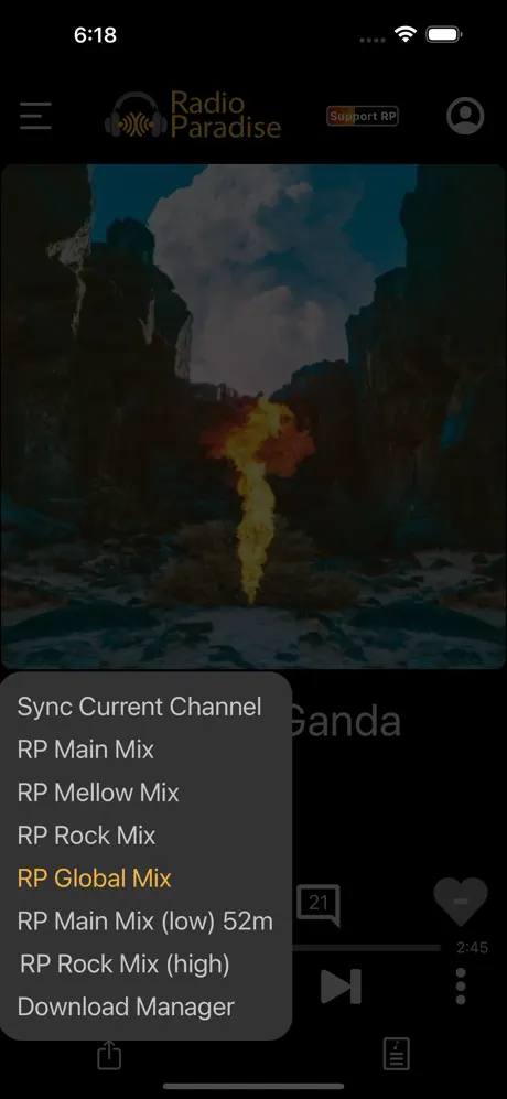 Radio Paradise screenshots 4