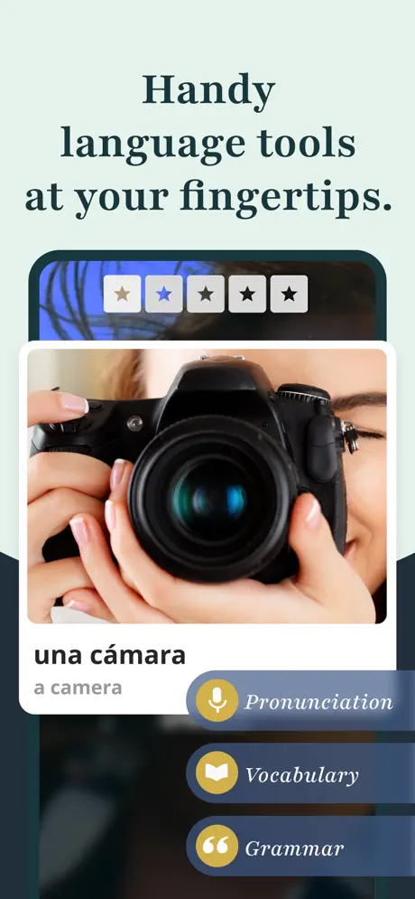 Rosetta Stone screenshots 5