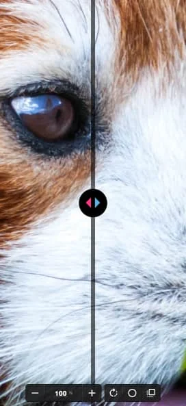 Squoosh screenshots 2