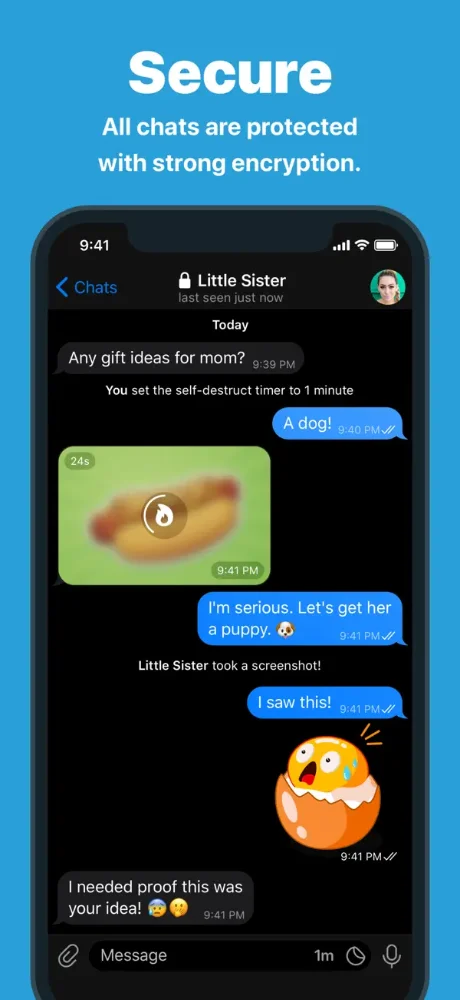 Telegram screenshots 3