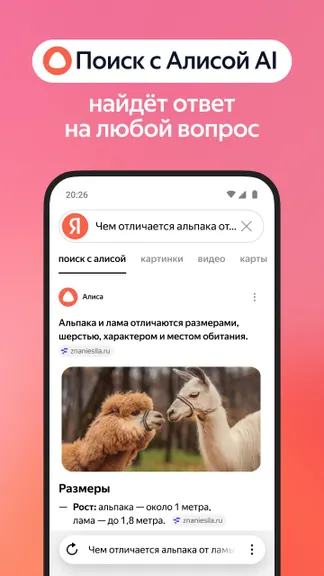 Яндекс screenshots 3