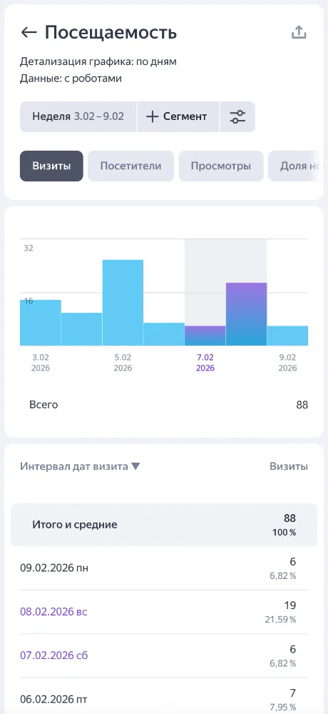 Yandex Metrika screenshots 3